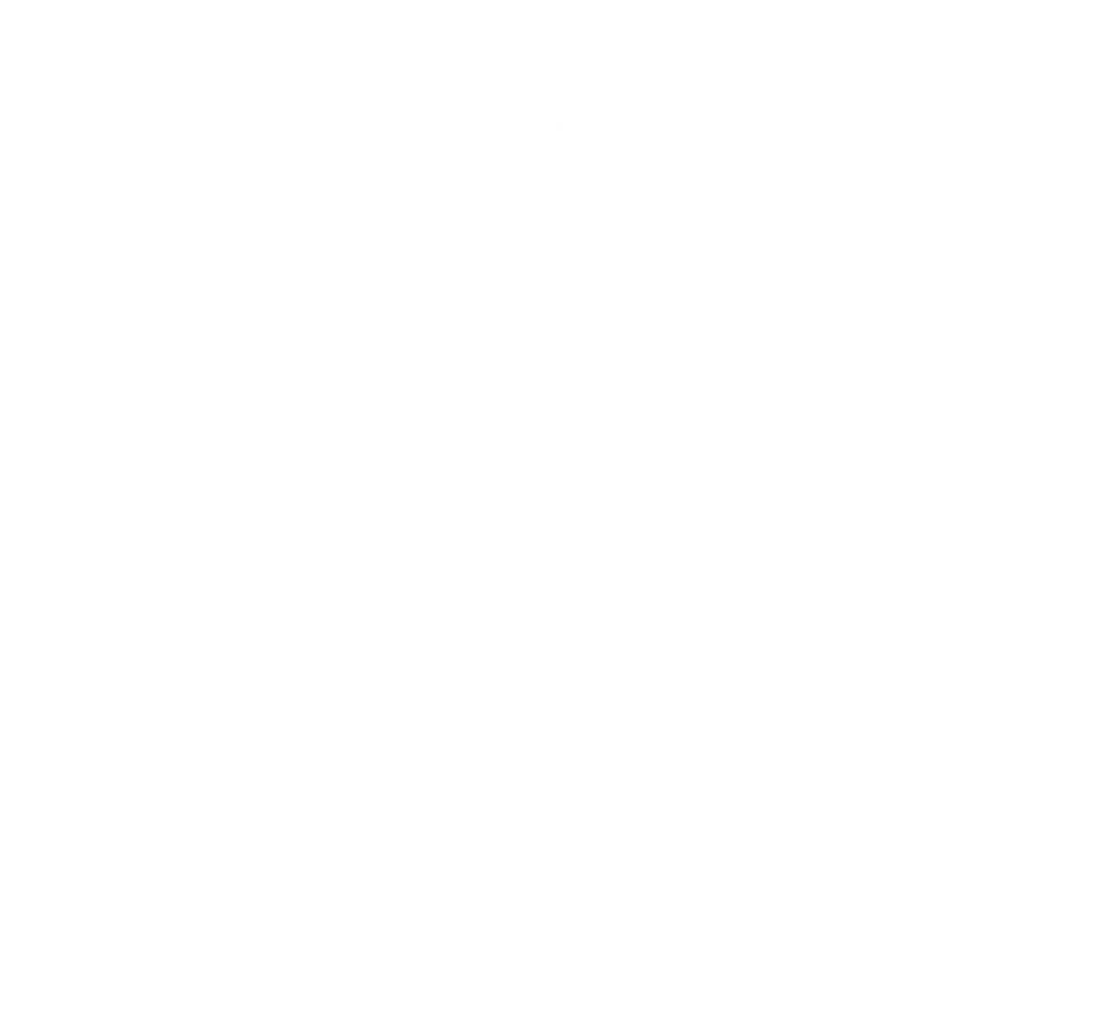 willa-trawers